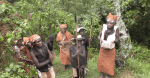 The Batwa come to welcome us into the forest