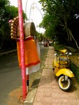 Scootering around Bali - before the rains hit!